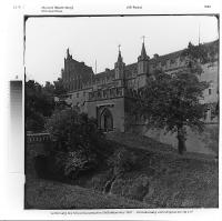 1-c-29_13_11.jpg