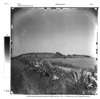 19-f-3_1347_1.jpg
