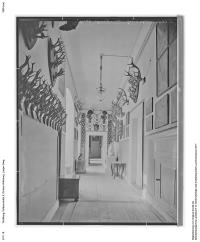 37-b-13_5311_16.jpg