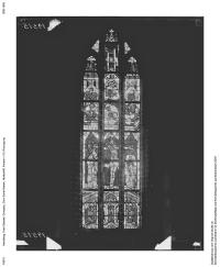 50-n-38_19515.jpg