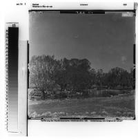 58-a-17_641_5.jpg