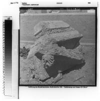 58-t-35_2084_270.jpg