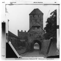 7-l-24_326_3.jpg