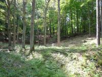 BAR-Schorfheide-WilhelmI-1884-Standort-SG-2014.jpg