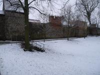 LOS-Beeskow-Stadtbefestigung-Mauerstr-Feldseite-MM-2023.jpg