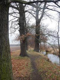 OSL-Grosskmehlen-Reitweg-nach-Linde-SW-2021.jpg