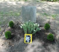 P-Goethefriedhof-Grabmal-Klink-AM-2013.jpg