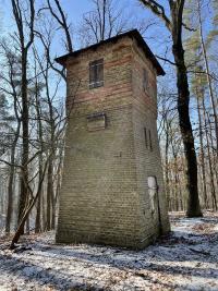 P-Mirenhaus-Koenigswald-CO-2023.jpg