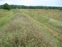 PM-Schenkenhorst_Riesel-MB-2012.jpg