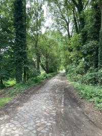 TF-Fenne-Fenneweg1-Pflasterstr-MC-2024.jpg
