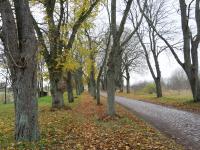 UM-Hassleben-Kastanienweg1u2-Bhf6-BR-2024.jpg
