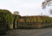 potsdam_lindstedt_pergola.jpg